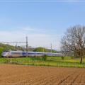 Salmaise_21-TGV-3905.jpg